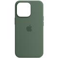 Чохол Silicone case (AAA) full with Magsafe для Apple iPhone 13 (6.1) (Зелений / Eucalyptus) 51174