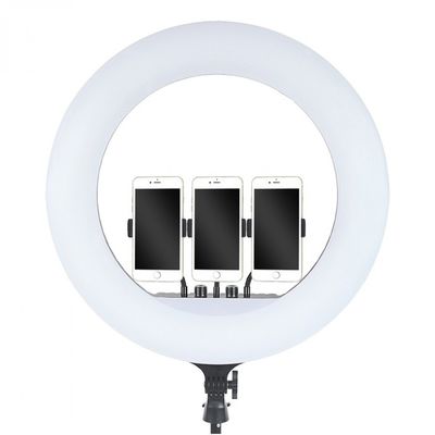 Лампа кільцева LED 54 см RL-21 без штатива 416 pcs lights