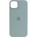 Чохол Silicone case (AAA) full with Magsafe для Apple iPhone 14 Pro Max (6.7) (Бірюзовий / Succulent) 57032 57032* 57032