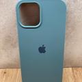 Чохол Silicone Case Full iPhone 12 Pro Max (cactus) 47785
