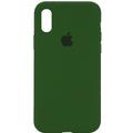 Silicone Case Full Protective (AA) для Apple iPhone XR (6.1) (Зеленый / Light cactus) 34365 34365* Чехол